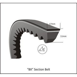 Keilriemen BX 61 - X 17 x 1550 Li, 1592 Lw